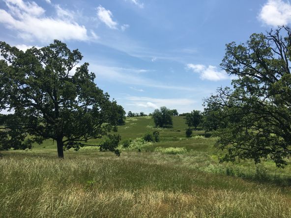 4897 & 4878 Norman Drive, Hartville, MO 65667